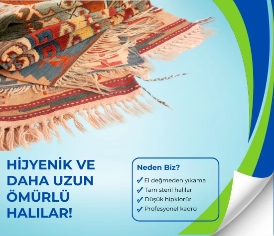 İstanbul Halı Yıkama Fabrikaları İstanbul en iyi halı yıkama fabrikası