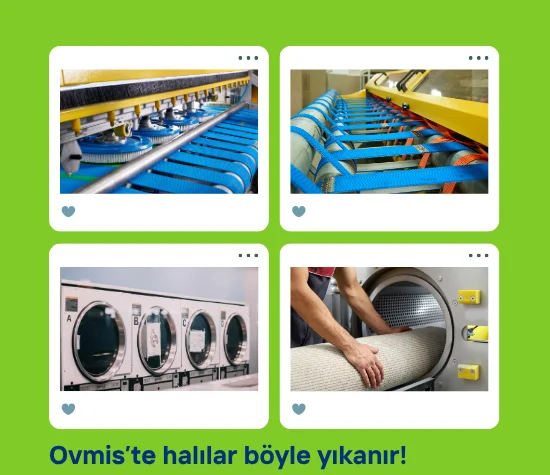 Muş Halı Yıkama Iletişim Muş halı yıkama yorumlar
