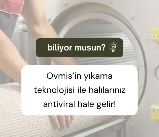 Erzurum En Iyi Halı Yıkama Firmaları Erzurum halı yıkamacılar