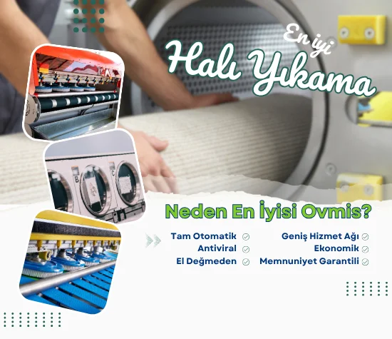 Kastamonu halı yıkamacılar