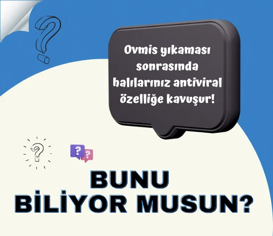Samsun halı yıkama yorumları