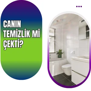 Muş temizlikçi