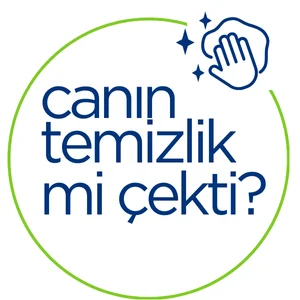Sakarya temizlikçi kadın