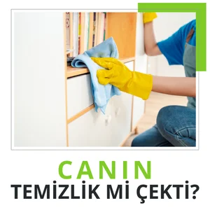Şırnak ev temizliği