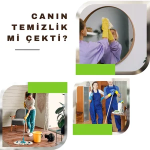 Tokatta temizlikçi bayan