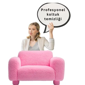 Gümüşhane koltuk yıkama fiyatları
