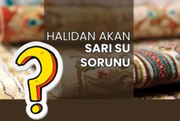 halidan sari su neden akar