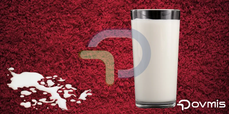 Halıdan ayran lekesi nasıl çıkar