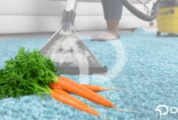 halıdan havuç lekesi nasıl çıkar