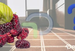 Halıdan karadut lekesi nasıl çıkar