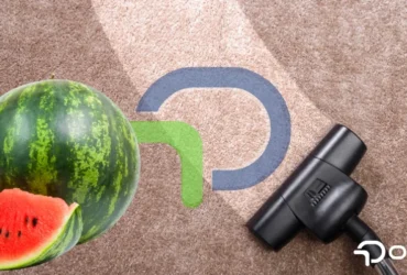 Halıdan karpuz lekesi nasıl çıkar