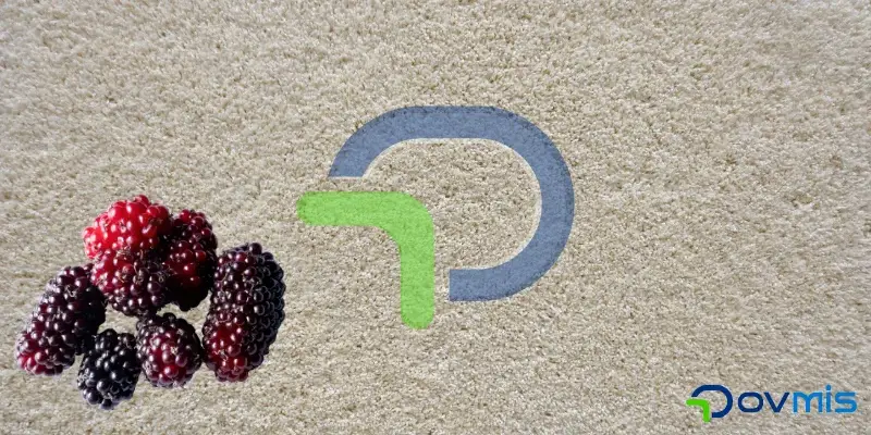 Dut lekesi halıdan nasıl çıkar