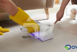 Halıdan pekmez lekesi nasıl çıkar