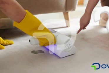 Halıdan pekmez lekesi nasıl çıkar