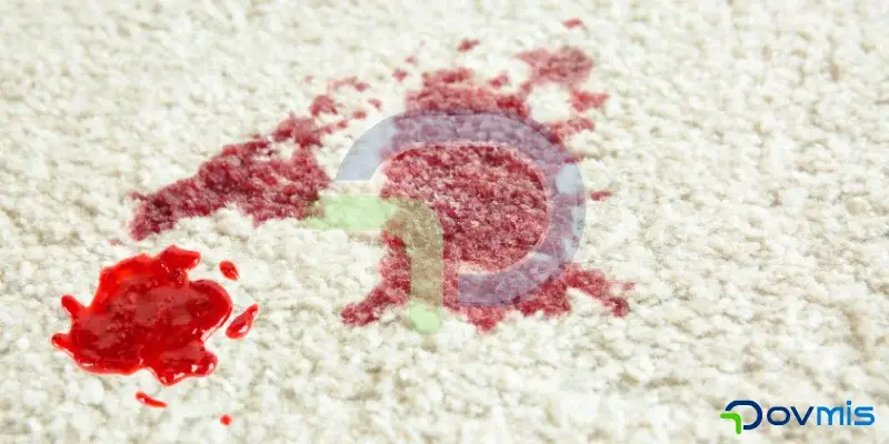 halidan-recel-lekesi-nasil-cikar