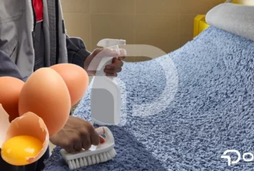 Halıdan yumurta lekesi nasıl çıkar