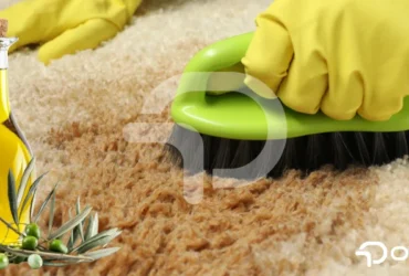 Halıdan zeytinyağı nasıl çıkar