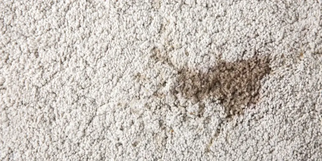 hint kinasi halidan nasil cikar